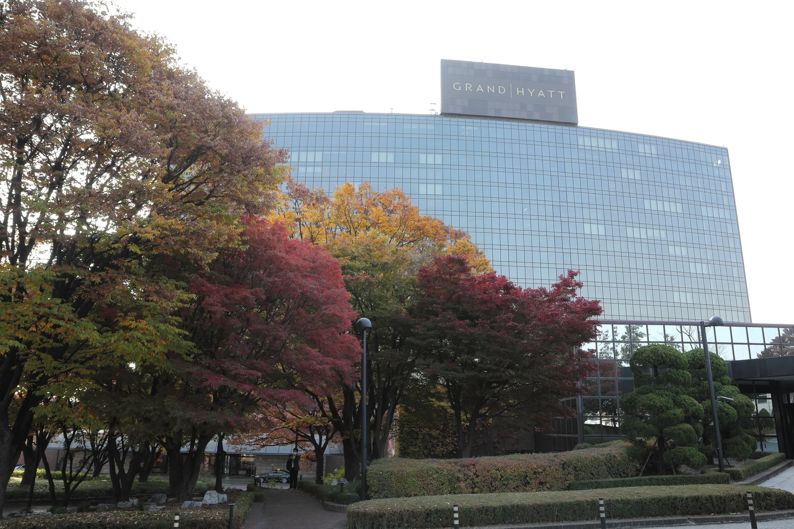 단풍 든 나무 뒤로 GRAND HYATT 간판이 달린 유리 외벽 호텔 건물